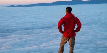 Understanding Risk Tolerance: A Beginner's Guide - Cover Image