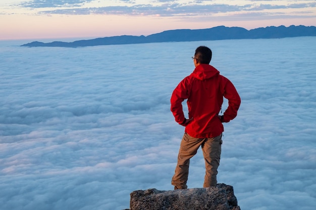 Understanding Risk Tolerance: A Beginner’s Guide